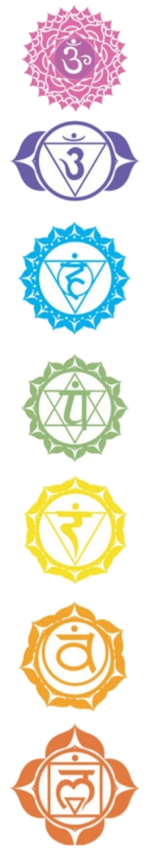 banderole latérale d'illustration représentant les 7 chakras en couleurs